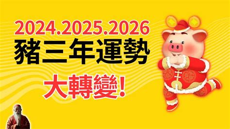 豬的幸運色|2024豬年開運色速查